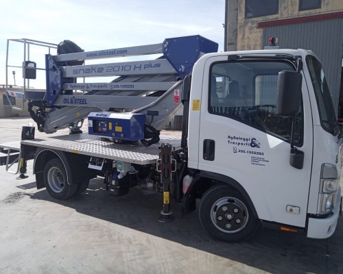 ISUZU SNAKE 2010 H PLUS